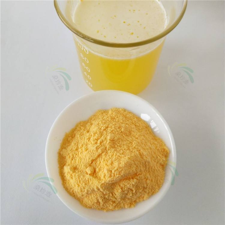Extracto de jugo de mango
